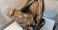 Molle rucksack