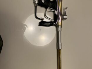 Dye NT 2010 Limited Edition