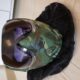 Sly Maske
