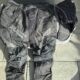 Komplette Ausrüstung abzugeben (Dye M2, Dye i5, HK…)