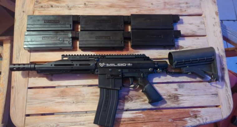 Milsig XDC M17