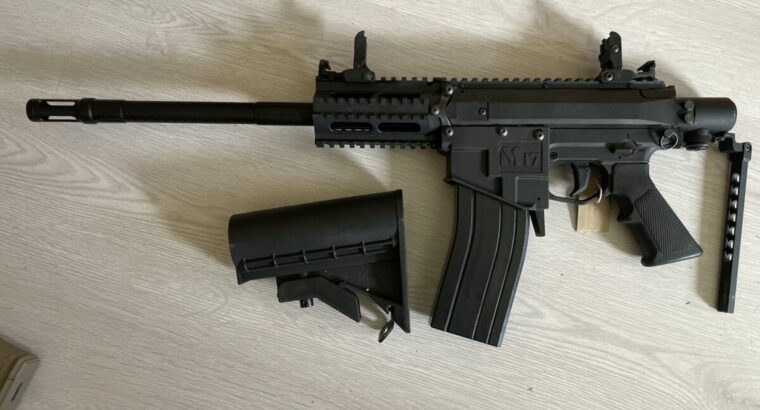 Milsig M17