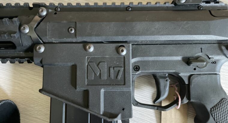 Milsig M17