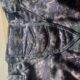 Tippmann Tactical Gear Paintball Hose Größe Medium Digi Camo (32-34)