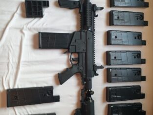 Milsig m17