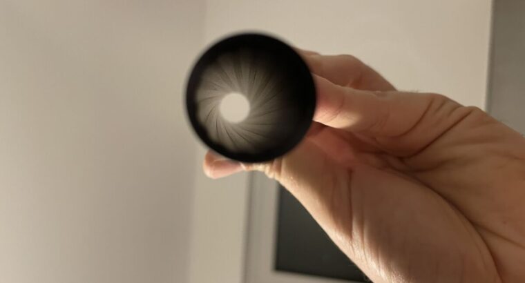 Hammerhead Sharktooth 11