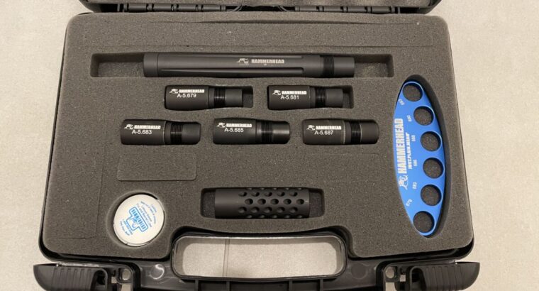 Hammerhead Sharktooth 11