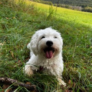 Profilbild