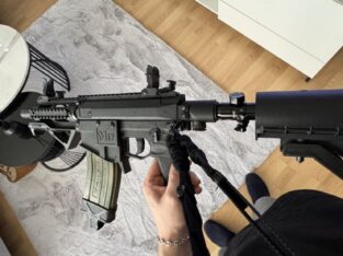 Milsig M17