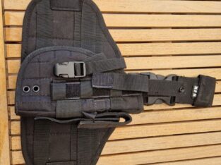 Holster