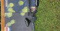 Tippmann SIERRA ONE mit Zubehör