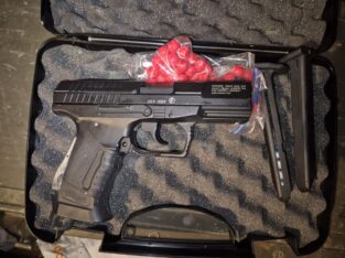Walther p99 und ppq