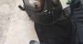 Tippmann98 Custom