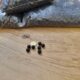 Hartgummi Munition Cal 0.43