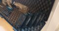 Teilauflösung Paintball Marker Sammlung | MilSig M Serie als Sniper in Tarnfarbe
