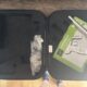 CS2 Pro Lucky15 edition