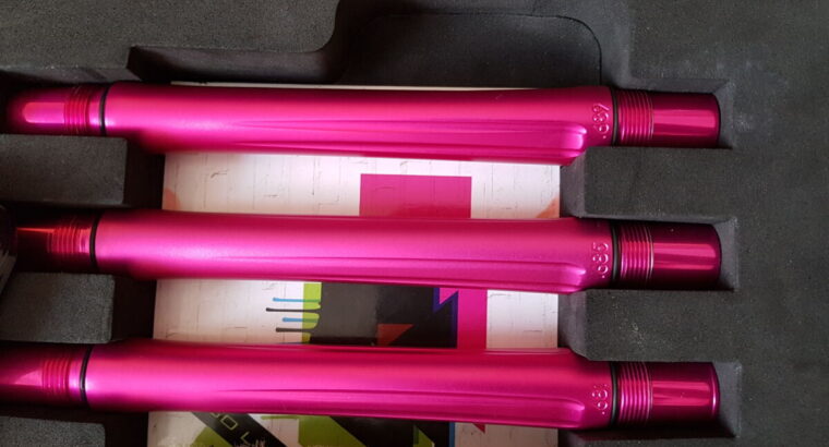 Planet Eclipse Ego LV1 in Farbe Punk