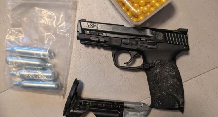 Smith&Wessen T4 cal.43