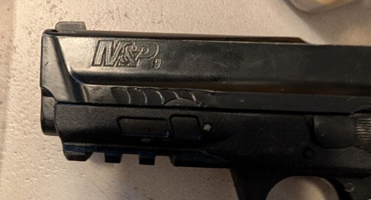 Smith&Wessen T4 cal.43