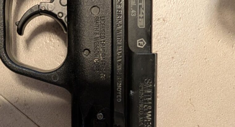 Smith&Wessen T4 cal.43