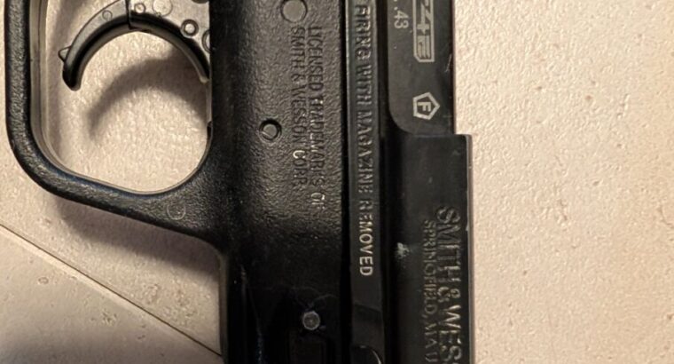 Smith&Wessen T4 cal.43