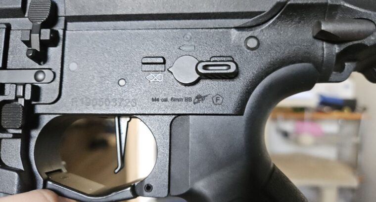 G&G CM16 Raider L 2.0E Preis VB