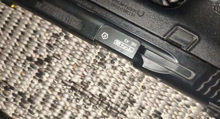 Smith&Wesson 43 cal. T4E