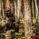 Rap4 468 DMR Bolt Action