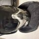 DYE I5 Maske