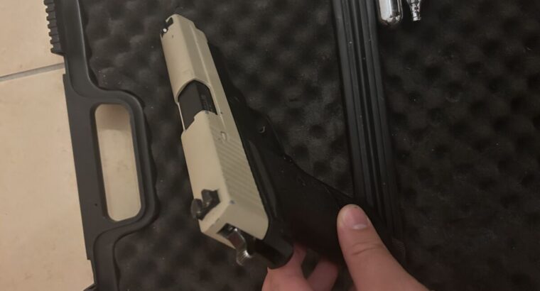 RAM P226