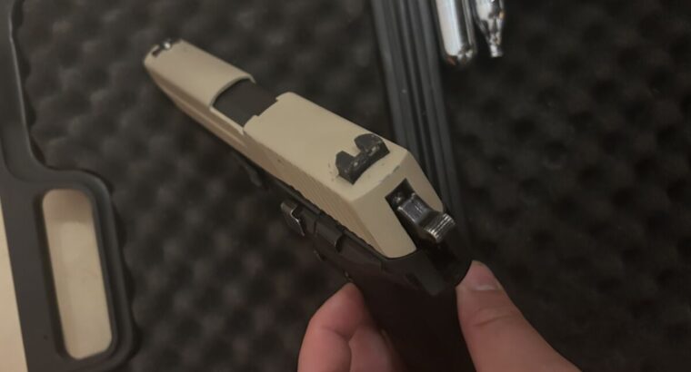 RAM P226