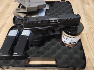 Walther PDP .43