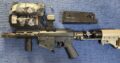 Milsig Valken M17 CQC Magpul Vectoroptics