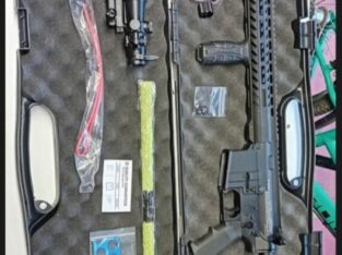 Firststrike T15 GEN 5 DMR + HP Flasche-Reballs-Visier-Rotpunkt