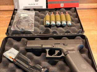 Glock 17 Gen.5 cal.43 mit Zubehör