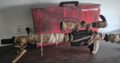 FS Scout Bolt Aktion
