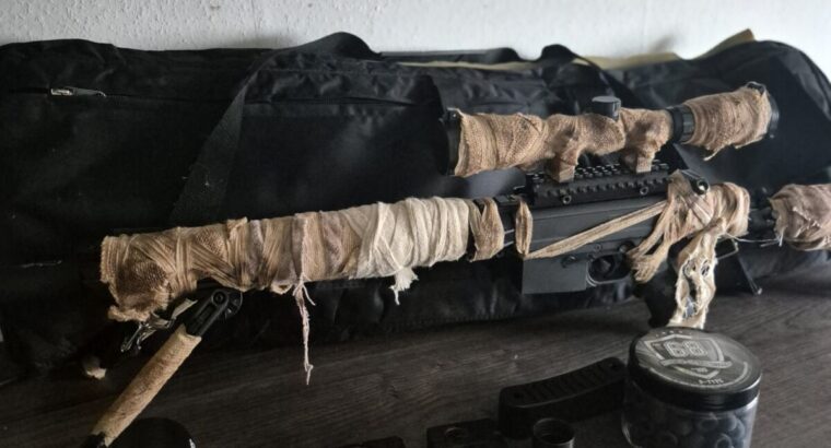 FS Scout Bolt Aktion