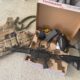 Tippmann TMC Elite