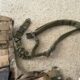 Tippmann TMC Elite