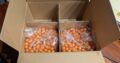 Protoyz Speedster CL Paintball Set mit Evolution3 Hopper
