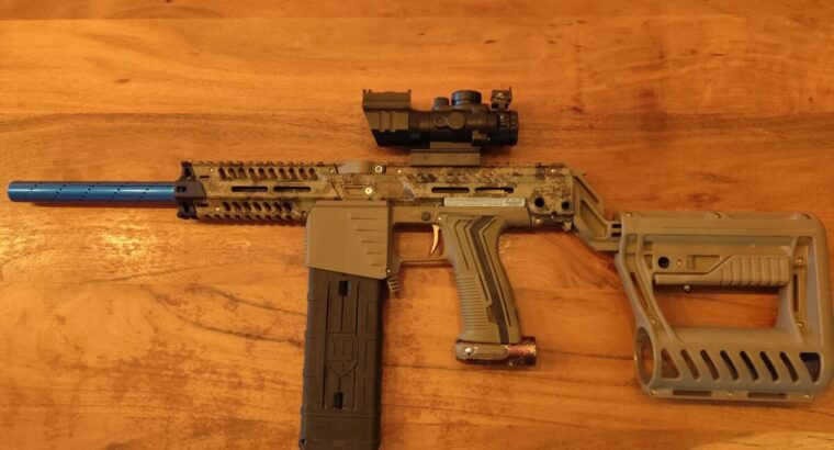 EMF100&Walther PPQ