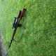 Hammer 7 – k98 custom umbau